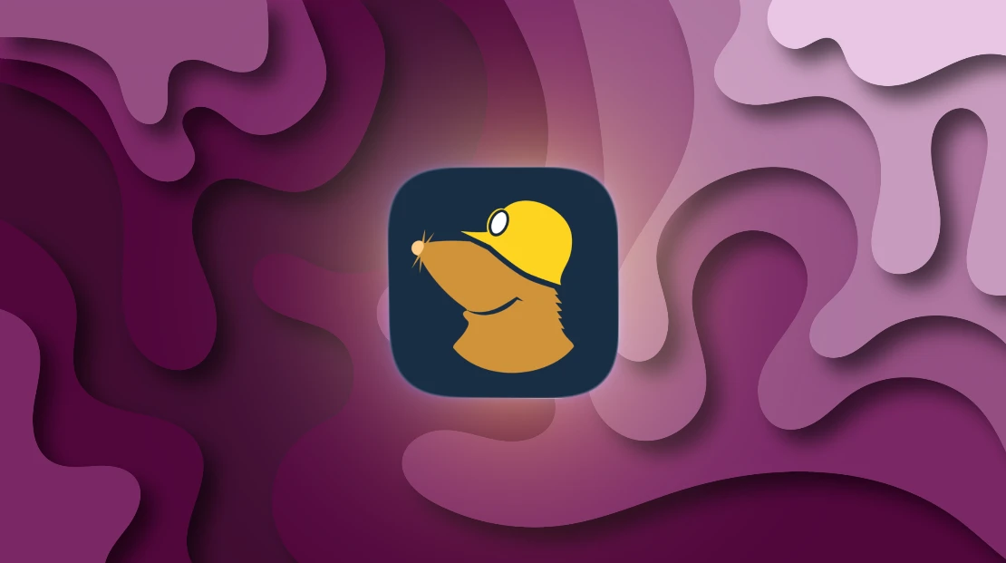 Mullvad VPN (NFA)