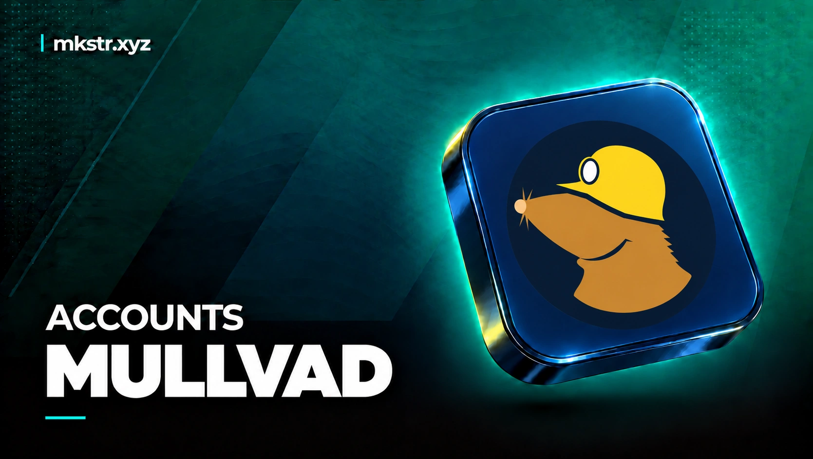 Mullvad [LIFETIME] (1/2)